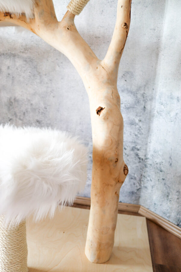 Design Naturkratzbaum 1028 Katzenkratzbaum, Kratzbaum für Katzen – Bild 9