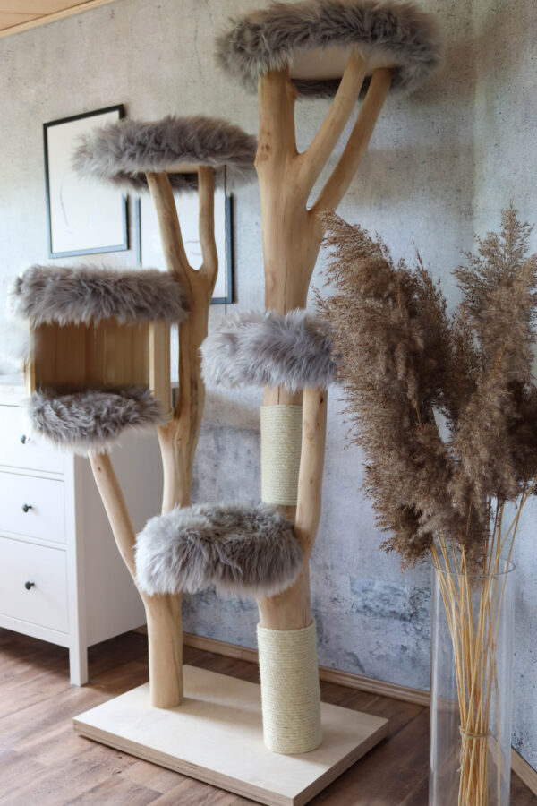 Kundenauftrag Jessy – Bild 3